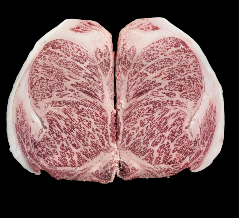 Le Kagoshima dans toute sa splendeur